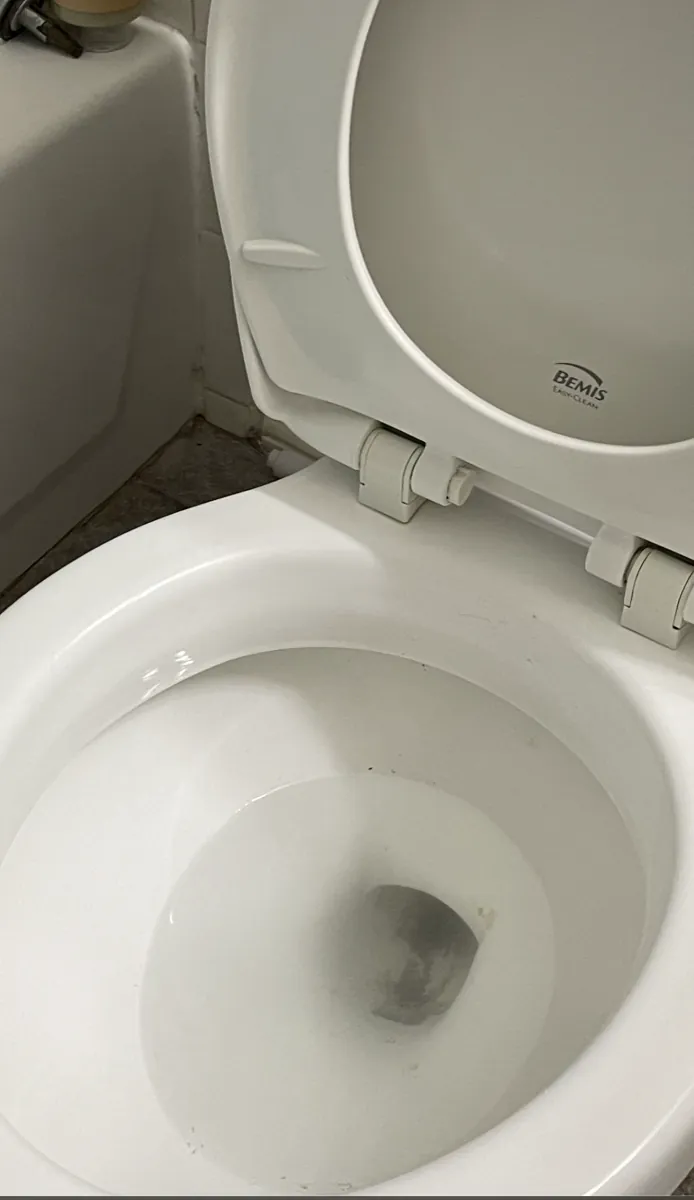 Toilet after professional sanitation